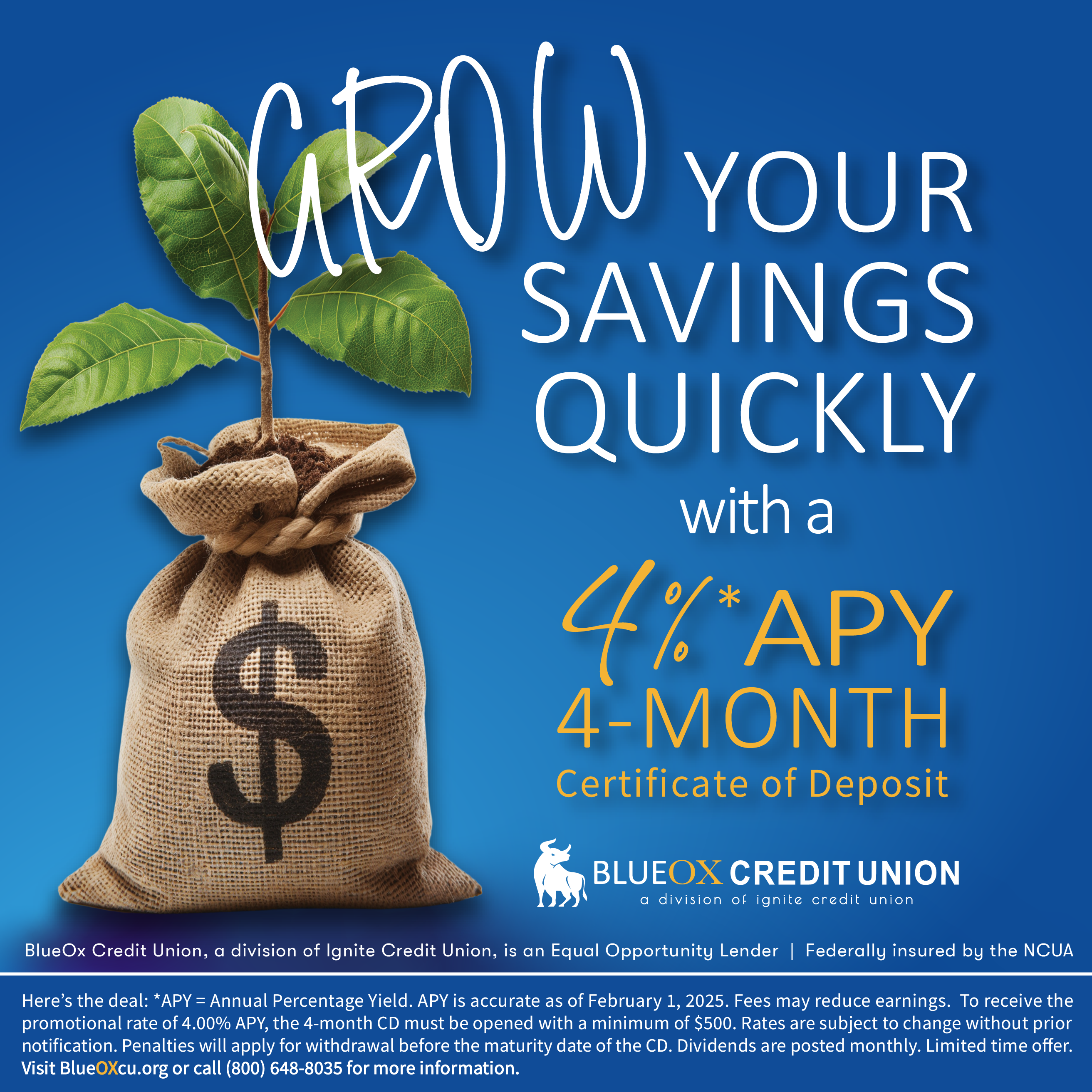 4-Month CD Special - BlueOx Credit Union